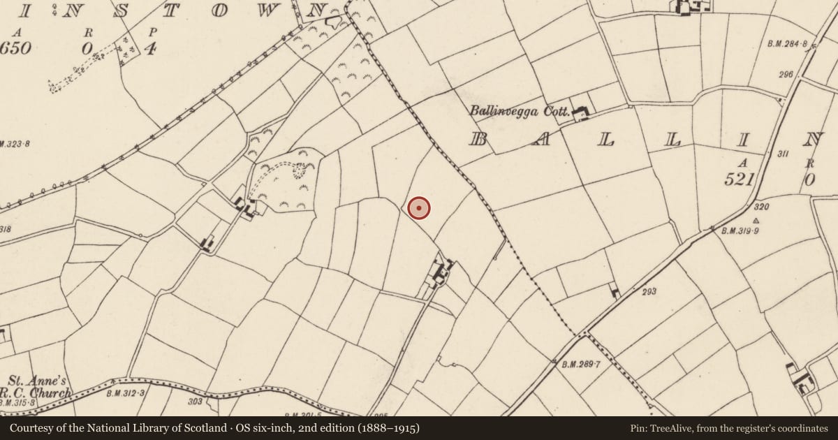 Ordnance Survey six-inch map, 2nd edition (1888–1915) covering the location of Moated site, Gobbinstown, County Wexford, with a pin at the register's coordinates