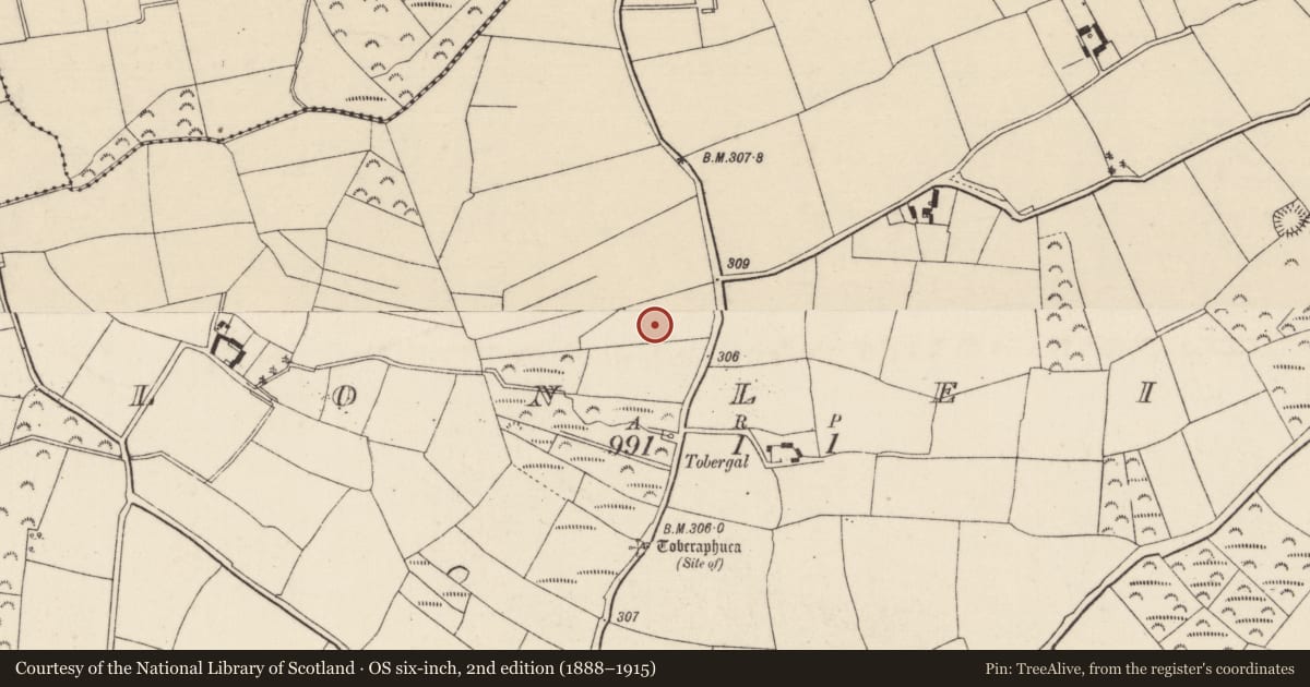 Ordnance Survey six-inch map, 2nd edition (1888–1915) covering the location of Church, Clonleigh, County Wexford, with a pin at the register's coordinates