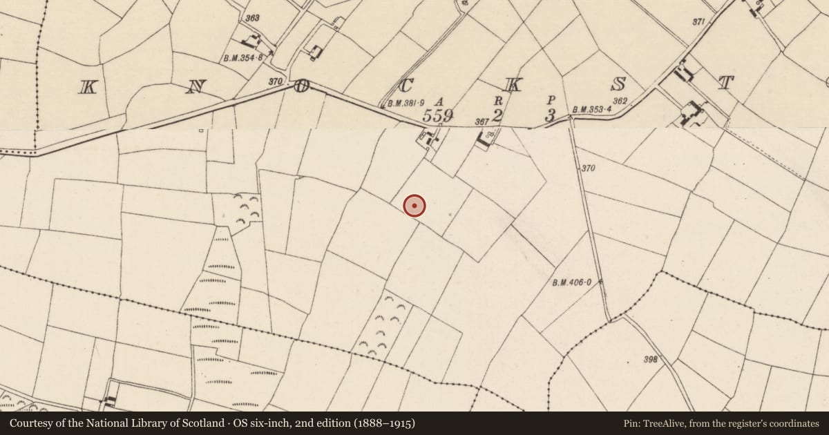 Ordnance Survey six-inch map, 2nd edition (1888–1915) covering the location of Ringfort - unclassified, Knockstown, County Wexford, with a pin at the register's coordinates