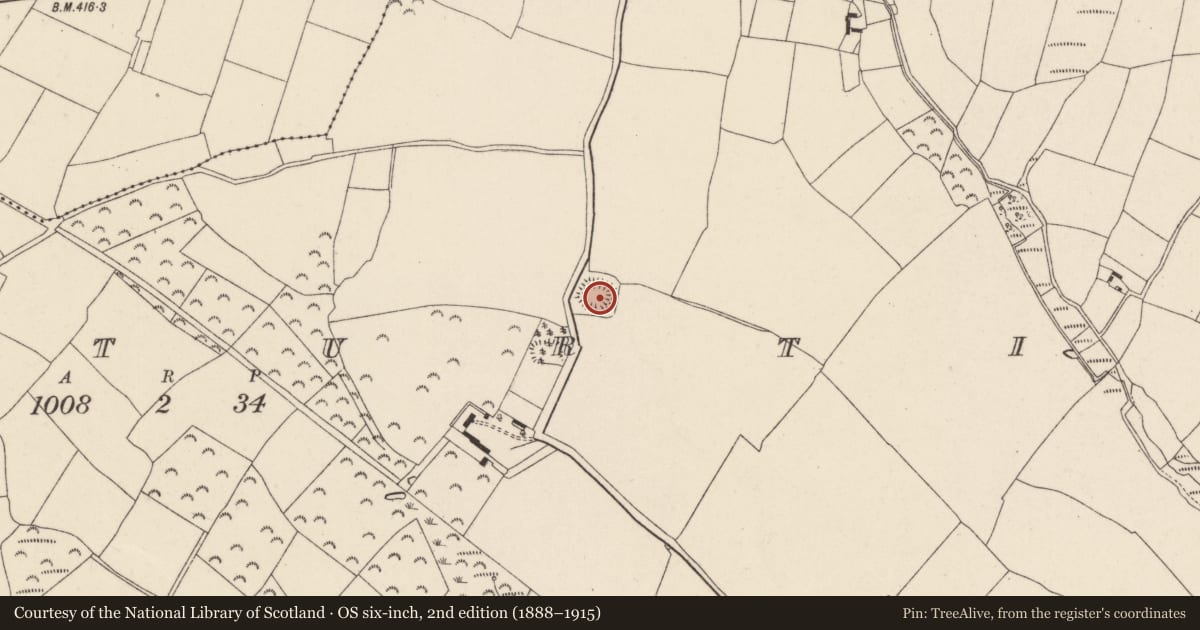 Ordnance Survey six-inch map, 2nd edition (1888–1915) covering the location of Ringfort - rath, Rathturtin, County Wexford, with a pin at the register's coordinates