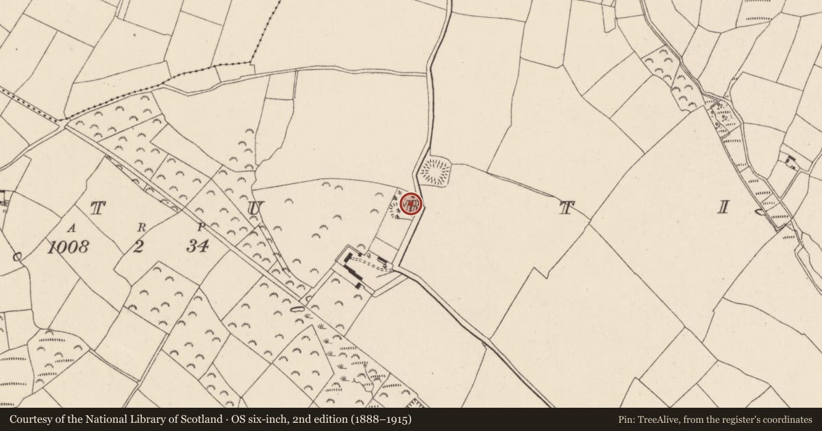 Ordnance Survey six-inch map, 2nd edition (1888–1915) covering the location of Ringfort - unclassified, Rathturtin, County Wexford, with a pin at the register's coordinates