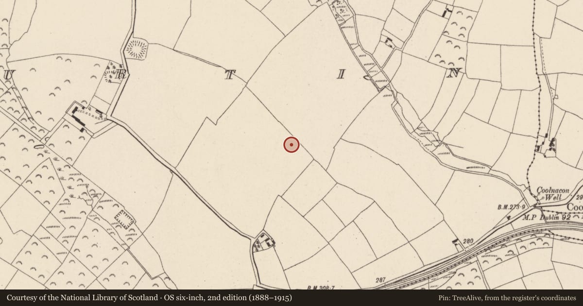 Ordnance Survey six-inch map, 2nd edition (1888–1915) covering the location of Ringfort - rath, Rathturtin, County Wexford, with a pin at the register's coordinates