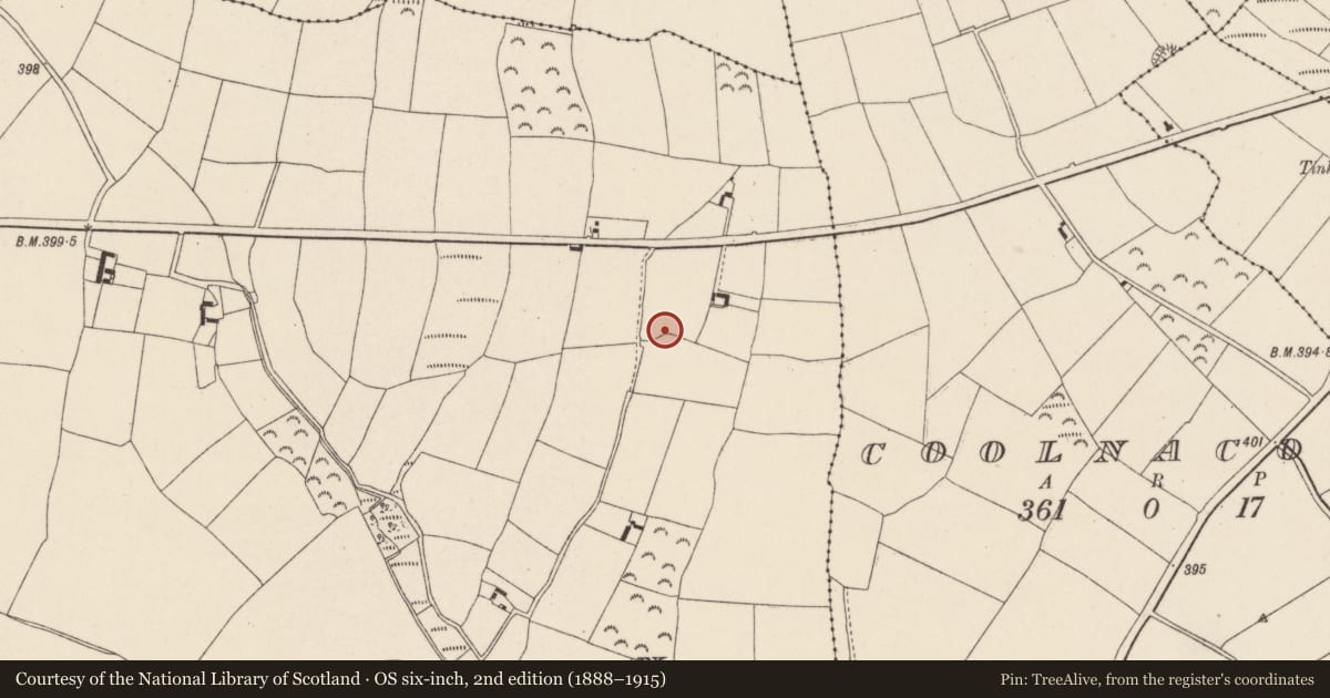 Ordnance Survey six-inch map, 2nd edition (1888–1915) covering the location of Ringfort - unclassified, Rathturtin, County Wexford, with a pin at the register's coordinates