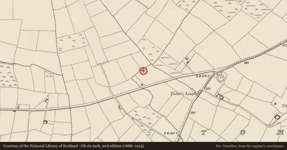 Ordnance Survey six-inch map, 2nd edition (1888–1915) covering the location of Ringfort - rath, Coolnacon, Tomfarney, County Wexford, with a pin at the register's coordinates