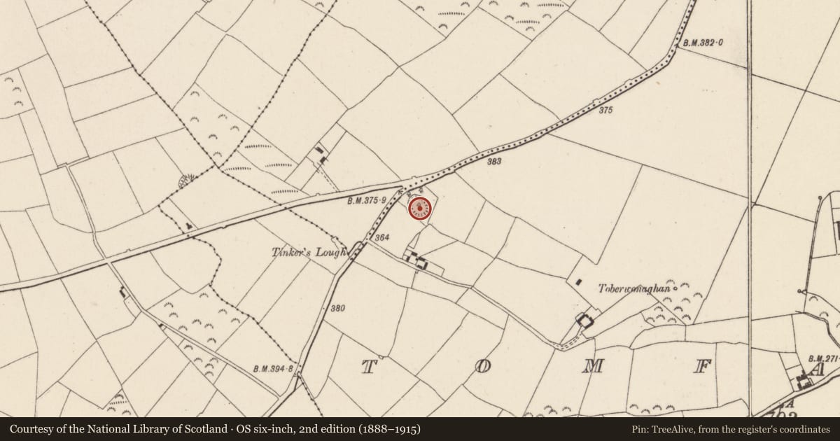 Ordnance Survey six-inch map, 2nd edition (1888–1915) covering the location of Ringfort - rath, Tomfarney, County Wexford, with a pin at the register's coordinates