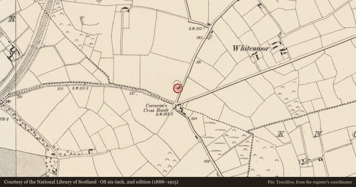 Ordnance Survey six-inch map, 2nd edition (1888–1915) covering the location of Church, Rathgaroge, County Wexford, with a pin at the register's coordinates