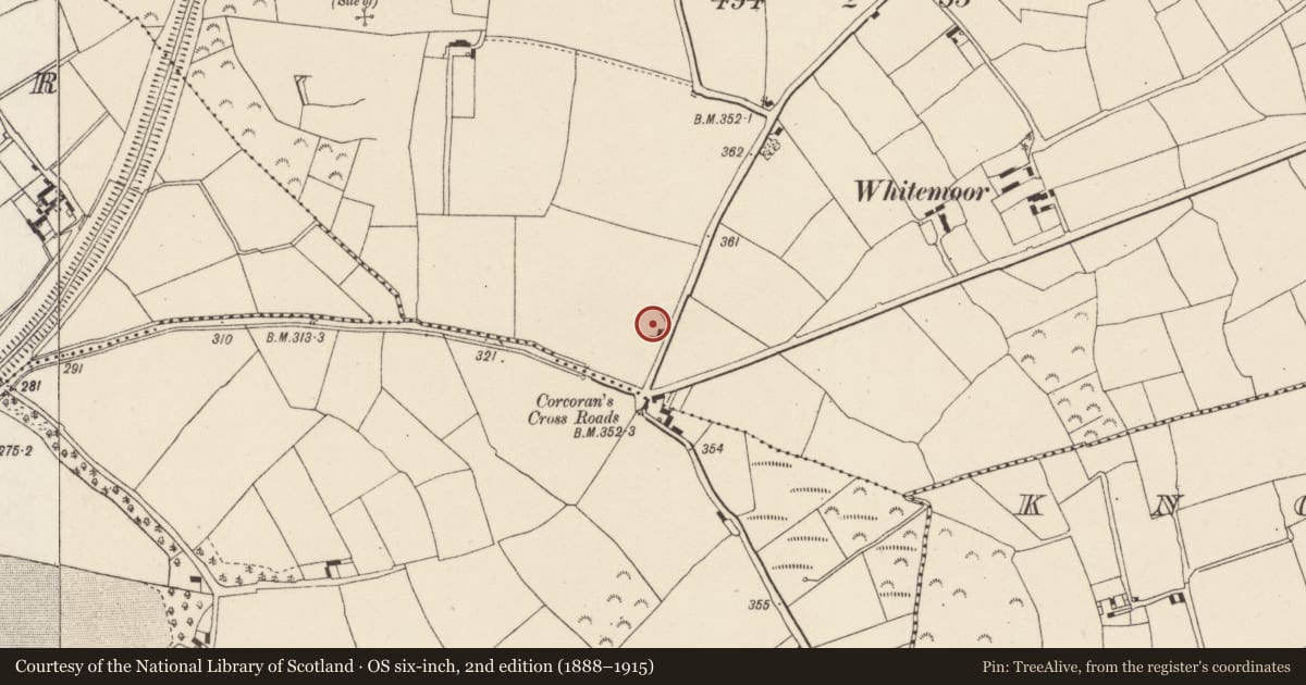 Ordnance Survey six-inch map, 2nd edition (1888–1915) covering the location of Ringfort - rath, Rathgaroge, County Wexford, with a pin at the register's coordinates