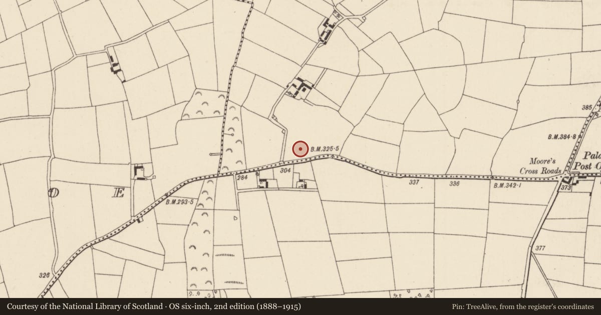 Ordnance Survey six-inch map, 2nd edition (1888–1915) covering the location of Ringfort - rath, Palace West, County Wexford, with a pin at the register's coordinates