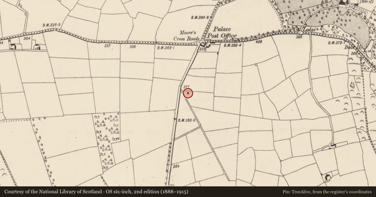 Ordnance Survey six-inch map, 2nd edition (1888–1915) covering the location of Ringfort - rath, Robinstown Great, County Wexford, with a pin at the register's coordinates