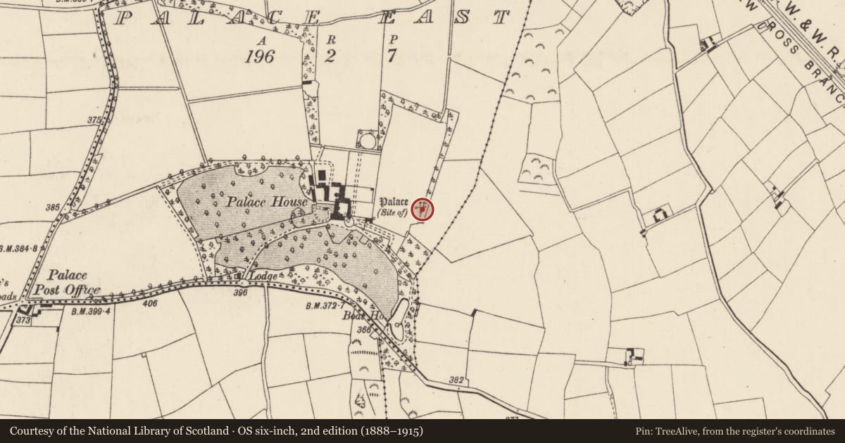 Ordnance Survey six-inch map, 2nd edition (1888–1915) covering the location of Moated site, Palace East, County Wexford, with a pin at the register's coordinates