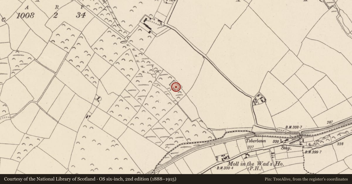 Ordnance Survey six-inch map, 2nd edition (1888–1915) covering the location of Moated site, Rathturtin, County Wexford, with a pin at the register's coordinates