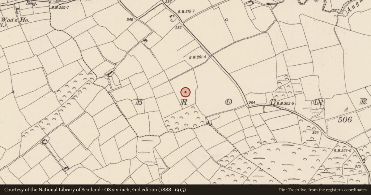 Ordnance Survey six-inch map, 2nd edition (1888–1915) covering the location of Moated site, Brocorrow, County Wexford, with a pin at the register's coordinates