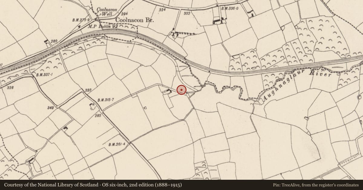 Ordnance Survey six-inch map, 2nd edition (1888–1915) covering the location of Ringfort - rath, Brocorrow, County Wexford, with a pin at the register's coordinates