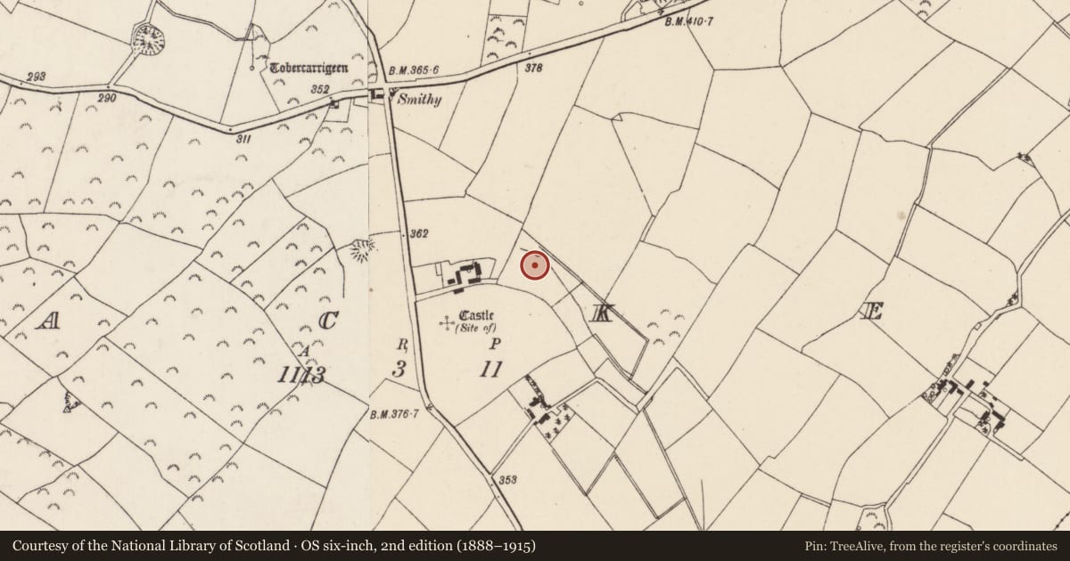 Ordnance Survey six-inch map, 2nd edition (1888–1915) covering the location of Enclosure, Lacken, County Wexford, with a pin at the register's coordinates