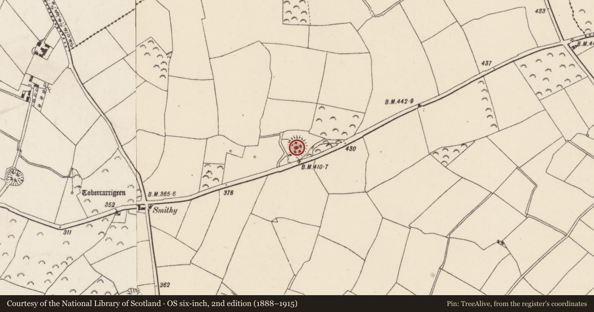 Ordnance Survey six-inch map, 2nd edition (1888–1915) covering the location of Ringfort - rath, Lacken, County Wexford, with a pin at the register's coordinates