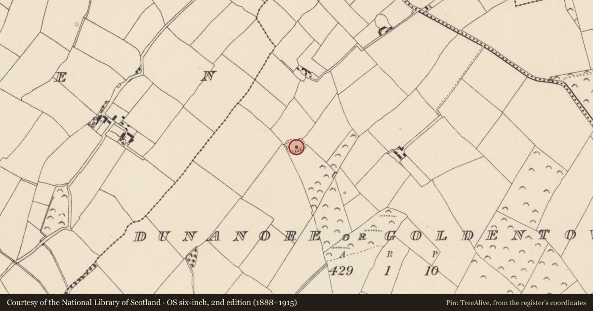 Ordnance Survey six-inch map, 2nd edition (1888–1915) covering the location of Ringfort - rath, Dunanore Or Goldentown, County Wexford, with a pin at the register's coordinates