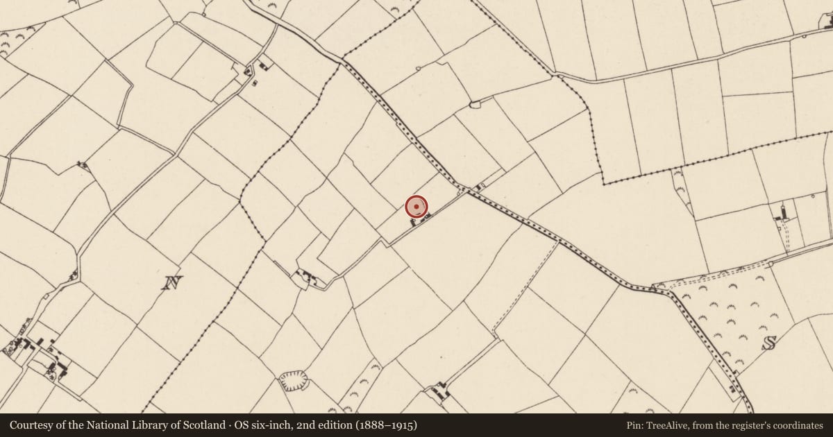 Ordnance Survey six-inch map, 2nd edition (1888–1915) covering the location of Ringfort - rath, Dunanore Or Goldentown, County Wexford, with a pin at the register's coordinates