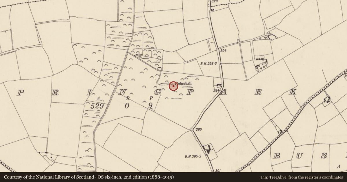 Ordnance Survey six-inch map, 2nd edition (1888–1915) covering the location of Ritual site - holy well, Springpark, County Wexford, with a pin at the register's coordinates