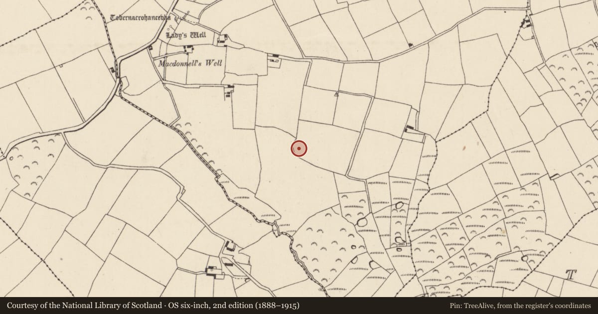 Ordnance Survey six-inch map, 2nd edition (1888–1915) covering the location of Ringfort - unclassified, Templenacroha, County Wexford, with a pin at the register's coordinates