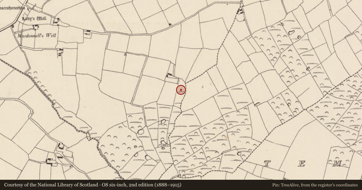 Ordnance Survey six-inch map, 2nd edition (1888–1915) covering the location of Ringfort - unclassified, Templenacroha, County Wexford, with a pin at the register's coordinates