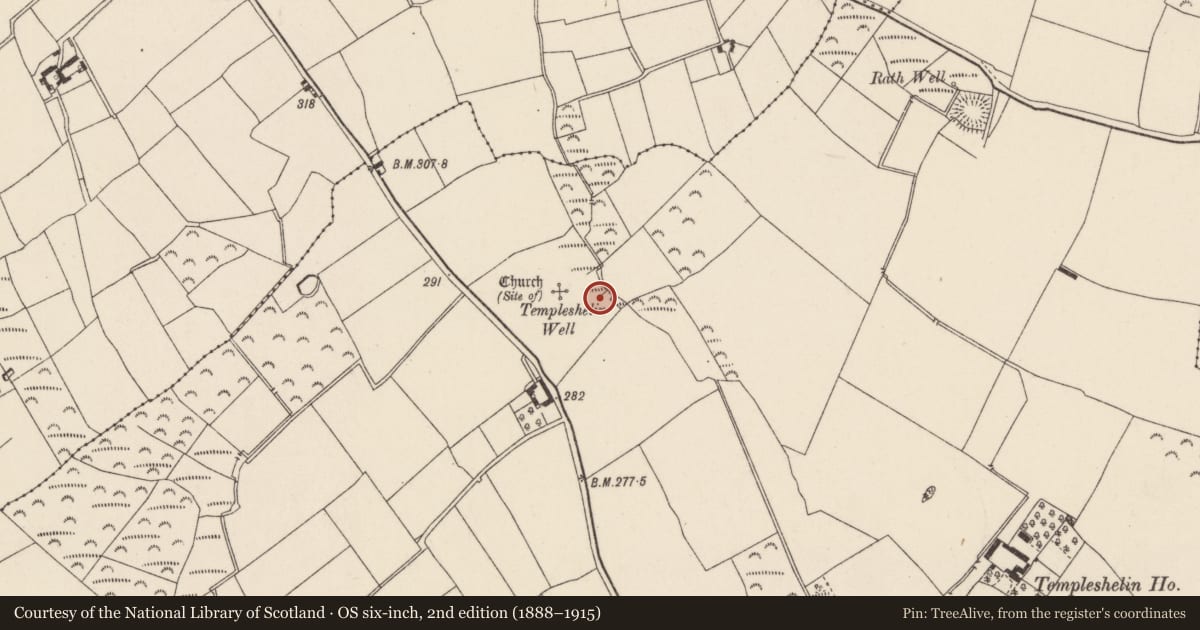 Ordnance Survey six-inch map, 2nd edition (1888–1915) covering the location of Ritual site - holy well, Templeshelin, County Wexford, with a pin at the register's coordinates