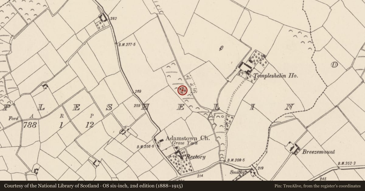 Ordnance Survey six-inch map, 2nd edition (1888–1915) covering the location of Moated site, Templeshelin, County Wexford, with a pin at the register's coordinates
