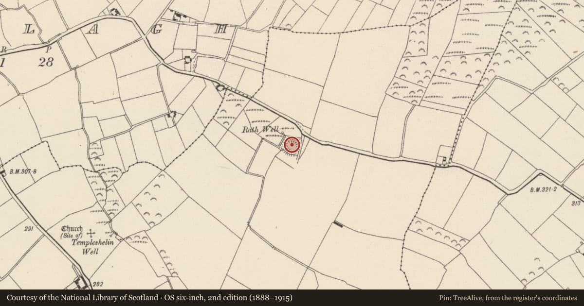 Ordnance Survey six-inch map, 2nd edition (1888–1915) covering the location of Ringfort - rath, Templeshelin, County Wexford, with a pin at the register's coordinates