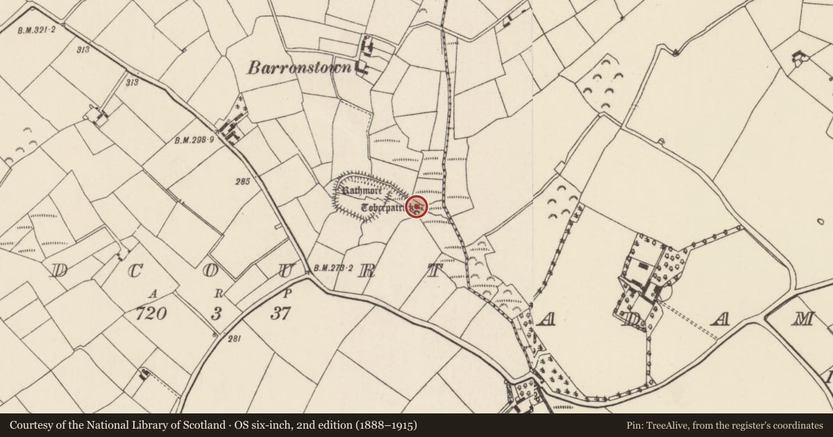 Ordnance Survey six-inch map, 2nd edition (1888–1915) covering the location of Ritual site - holy well, Oldcourt, County Wexford, with a pin at the register's coordinates