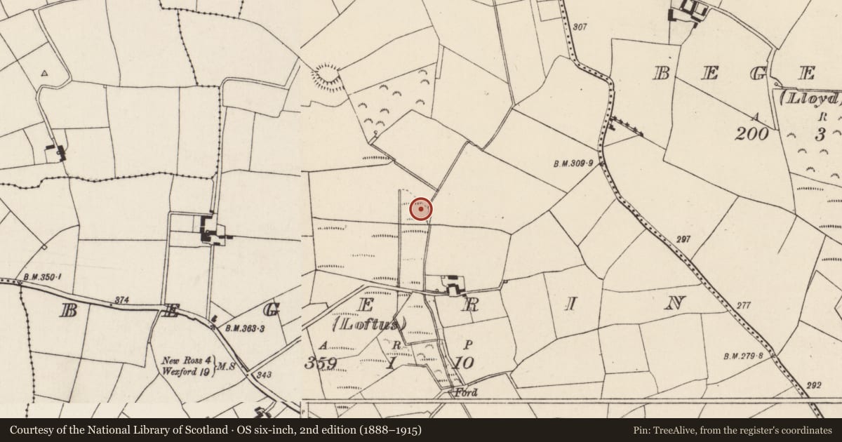 Ordnance Survey six-inch map, 2nd edition (1888–1915) covering the location of Ringfort - unclassified, Begerin (Loftus), County Wexford, with a pin at the register's coordinates