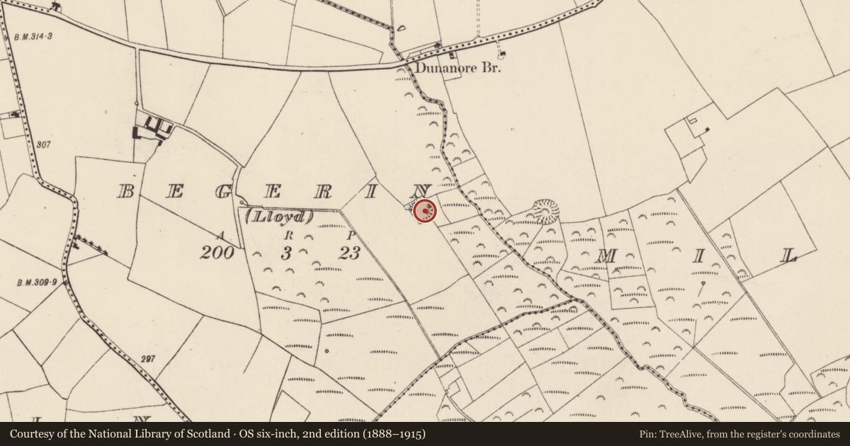 Ordnance Survey six-inch map, 2nd edition (1888–1915) covering the location of Moated site, Begerin (Lloyd), County Wexford, with a pin at the register's coordinates