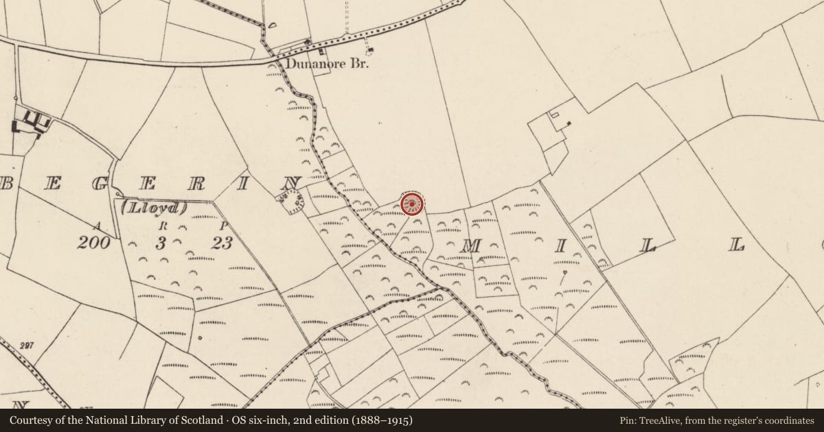 Ordnance Survey six-inch map, 2nd edition (1888–1915) covering the location of Ringfort - unclassified, Millquarter, County Wexford, with a pin at the register's coordinates