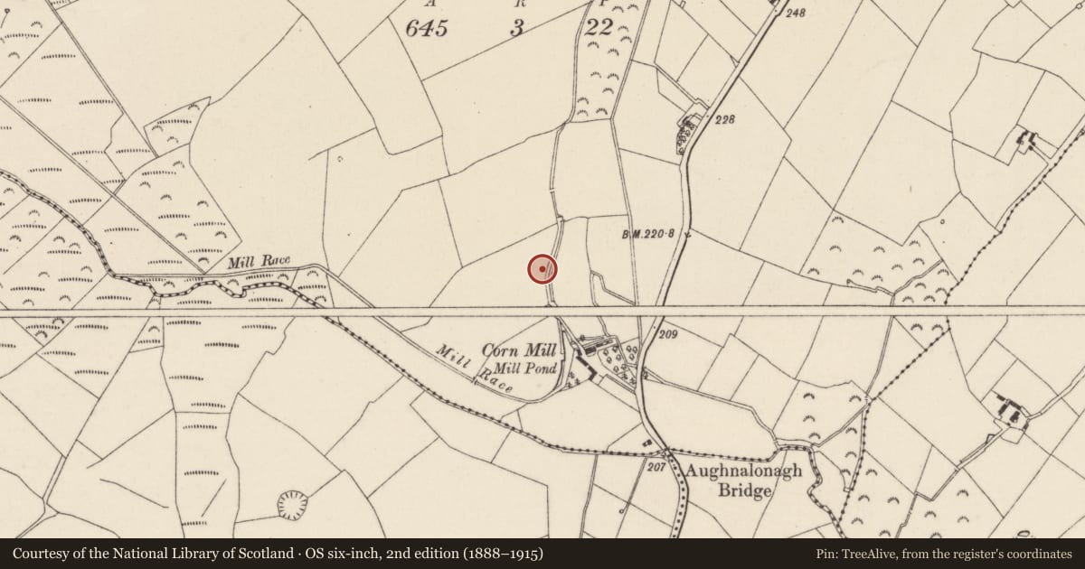 Ordnance Survey six-inch map, 2nd edition (1888–1915) covering the location of Slab-lined burial, Millquarter, County Wexford, with a pin at the register's coordinates
