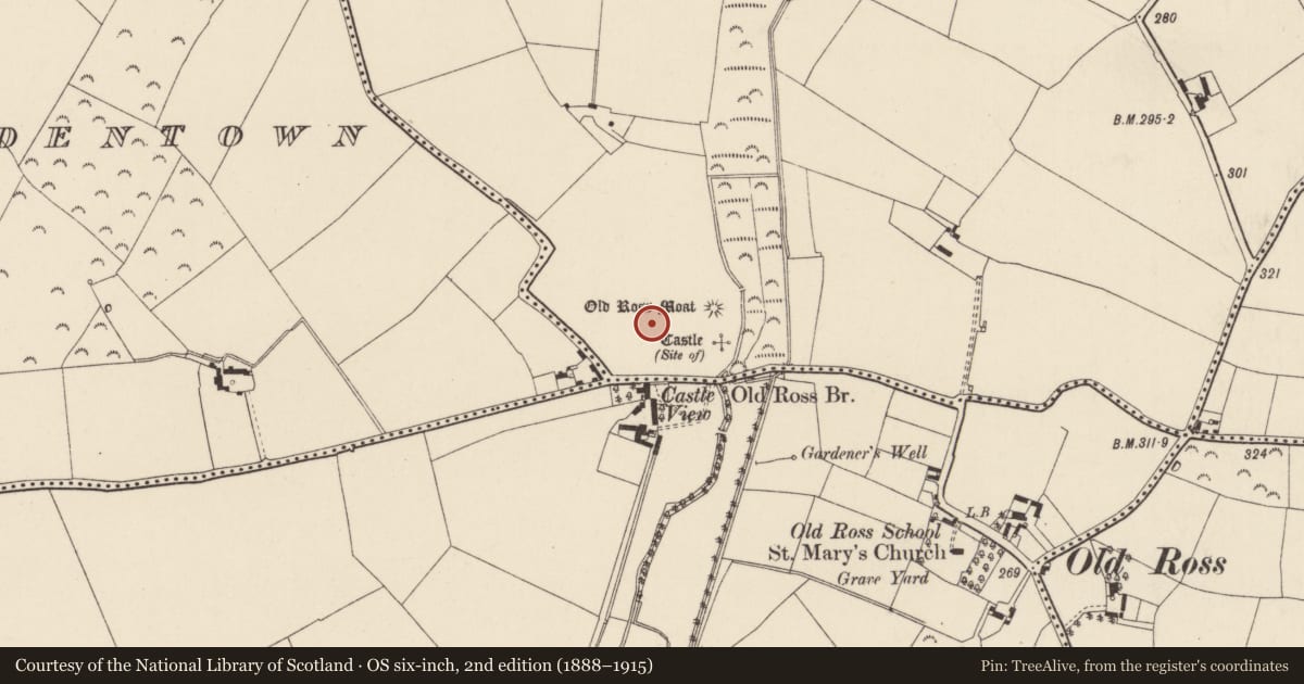 Ordnance Survey six-inch map, 2nd edition (1888–1915) covering the location of Historic town, Millquarter, Springpark, County Wexford, with a pin at the register's coordinates