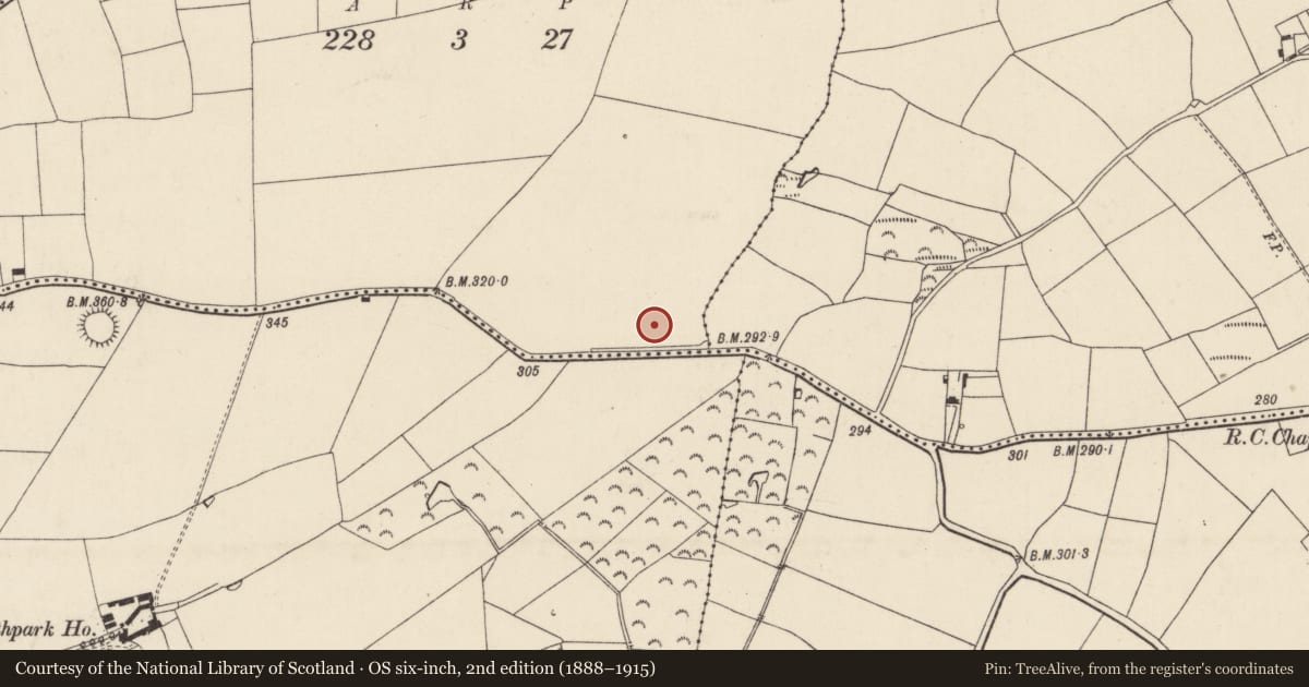 Ordnance Survey six-inch map, 2nd edition (1888–1915) covering the location of Ringfort - unclassified, Bushpark, County Wexford, with a pin at the register's coordinates