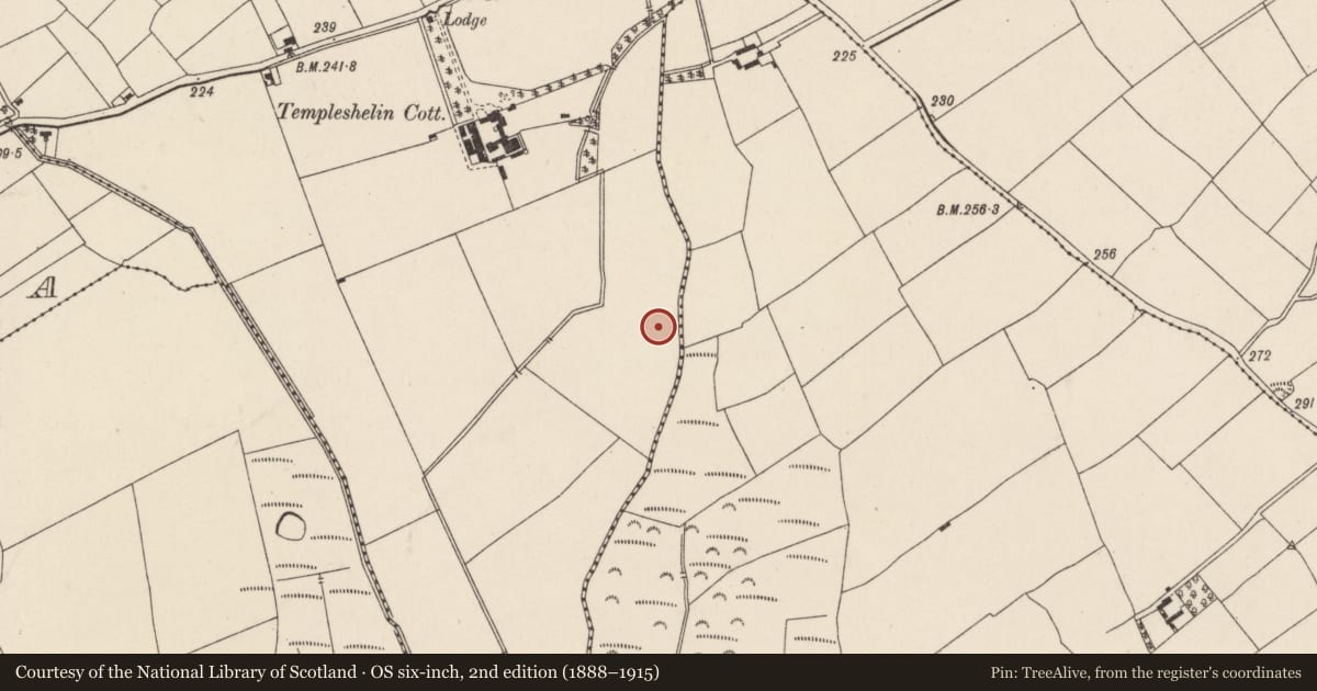 Ordnance Survey six-inch map, 2nd edition (1888–1915) covering the location of Barrow - unclassified, Templeshelin, County Wexford, with a pin at the register's coordinates