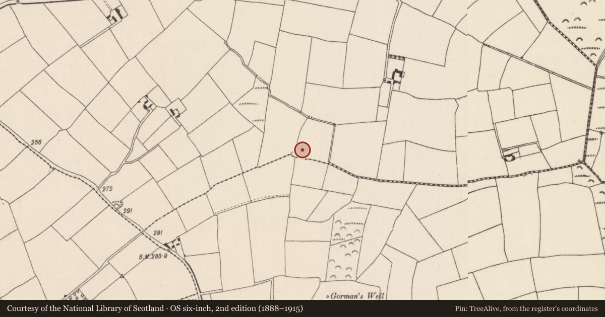 Ordnance Survey six-inch map, 2nd edition (1888–1915) covering the location of Moated site, Oldcourt, County Wexford, with a pin at the register's coordinates