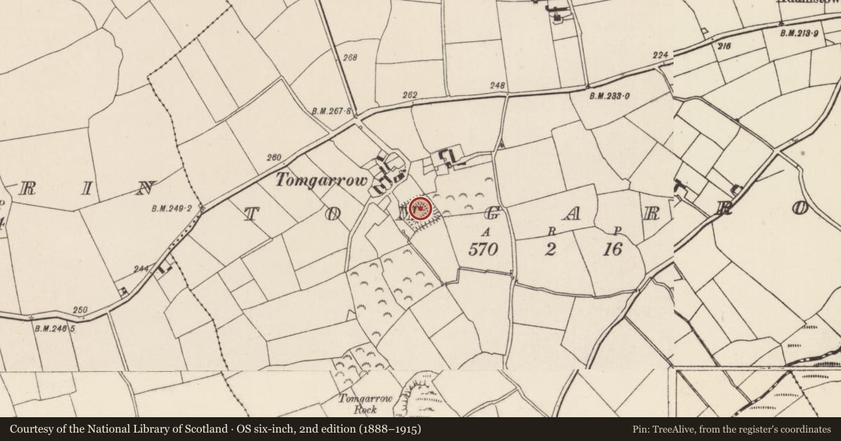 Ordnance Survey six-inch map, 2nd edition (1888–1915) covering the location of Moated site, Tomgarrow, County Wexford, with a pin at the register's coordinates