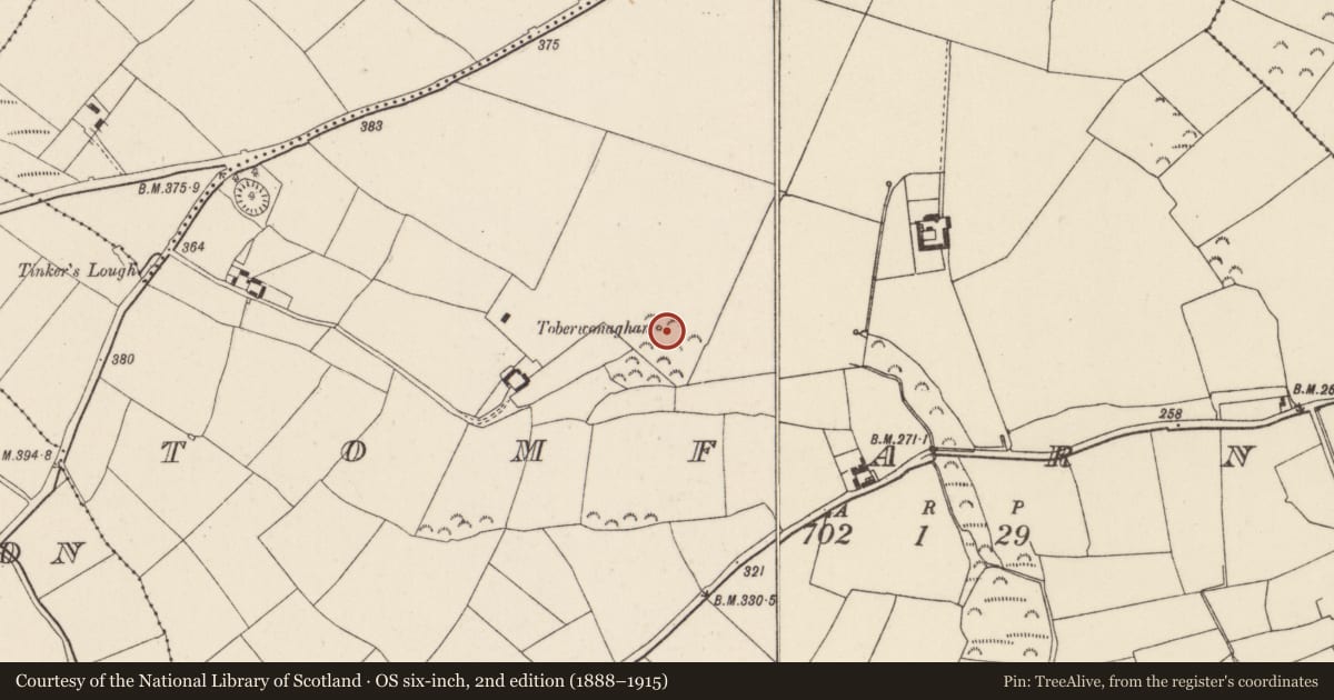 Ordnance Survey six-inch map, 2nd edition (1888–1915) covering the location of Ritual site - holy well, Tomfarney, County Wexford, with a pin at the register's coordinates