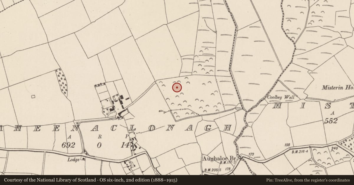 Ordnance Survey six-inch map, 2nd edition (1888–1915) covering the location of Moated site, Raheenaclonagh, County Wexford, with a pin at the register's coordinates