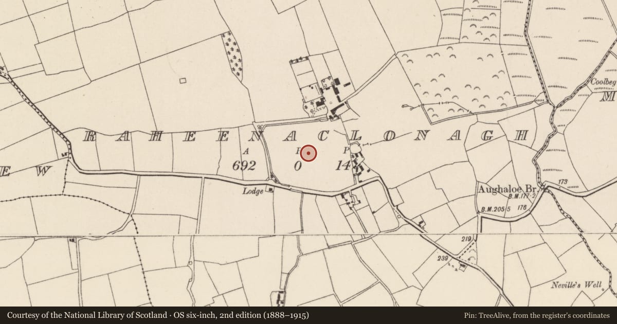 Ordnance Survey six-inch map, 2nd edition (1888–1915) covering the location of Field system, Raheenaclonagh, County Wexford, with a pin at the register's coordinates
