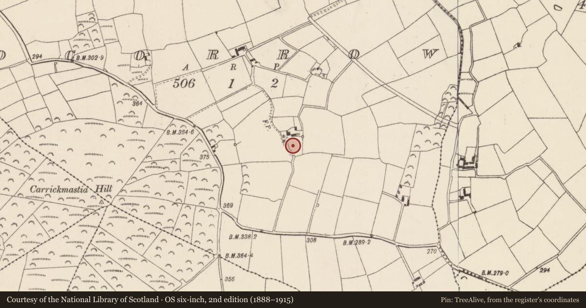 Ordnance Survey six-inch map, 2nd edition (1888–1915) covering the location of Ringfort - rath, Brocorrow, County Wexford, with a pin at the register's coordinates