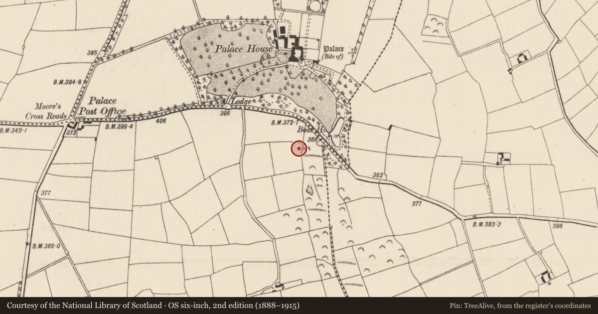 Ordnance Survey six-inch map, 2nd edition (1888–1915) covering the location of Burnt mound, Robinstown Great, County Wexford, with a pin at the register's coordinates