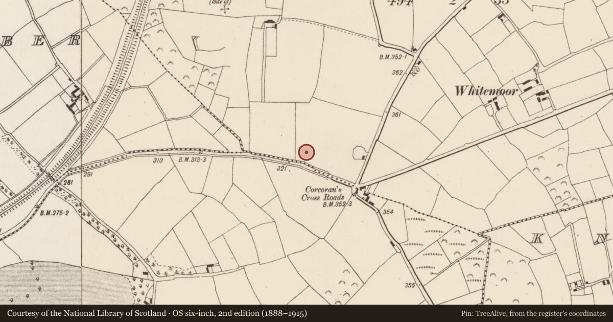 Ordnance Survey six-inch map, 2nd edition (1888–1915) covering the location of Burnt mound, Rathgaroge, County Wexford, with a pin at the register's coordinates