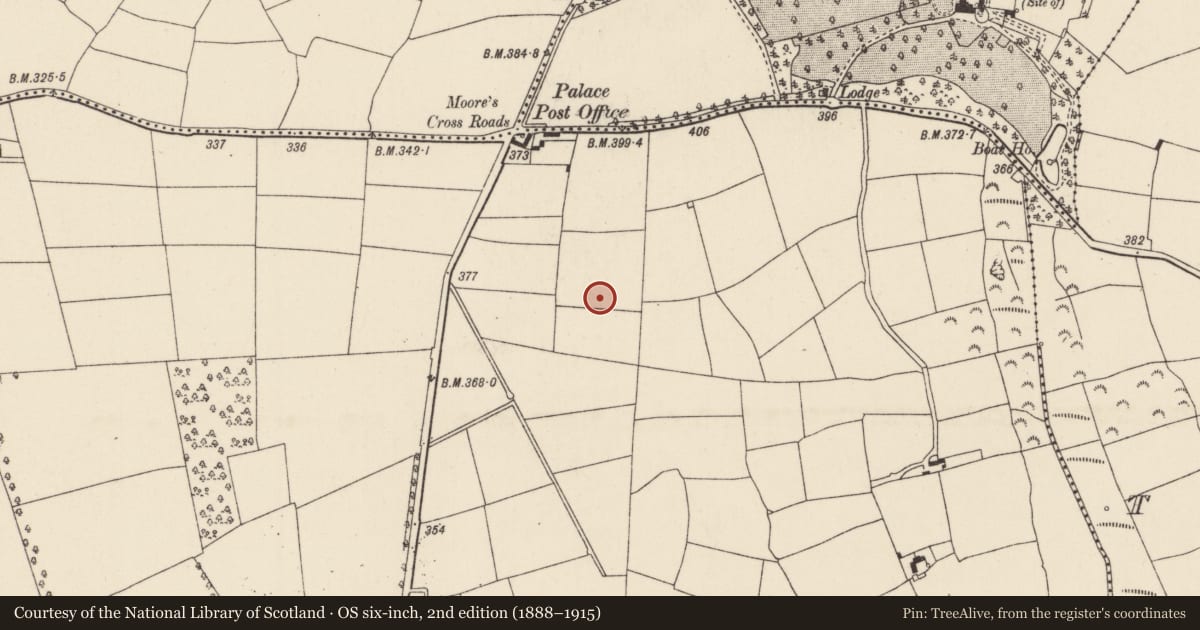 Ordnance Survey six-inch map, 2nd edition (1888–1915) covering the location of Ringfort - rath, Robinstown Great, County Wexford, with a pin at the register's coordinates
