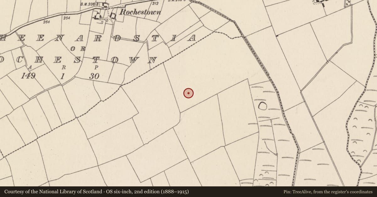Ordnance Survey six-inch map, 2nd edition (1888–1915) covering the location of Ringfort - rath, Raheenaclonagh, County Wexford, with a pin at the register's coordinates