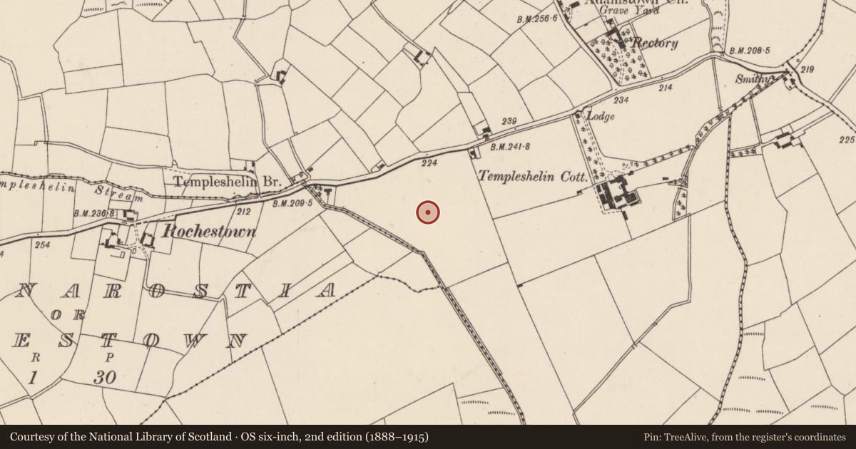 Ordnance Survey six-inch map, 2nd edition (1888–1915) covering the location of Standing stone, Templeshelin, County Wexford, with a pin at the register's coordinates