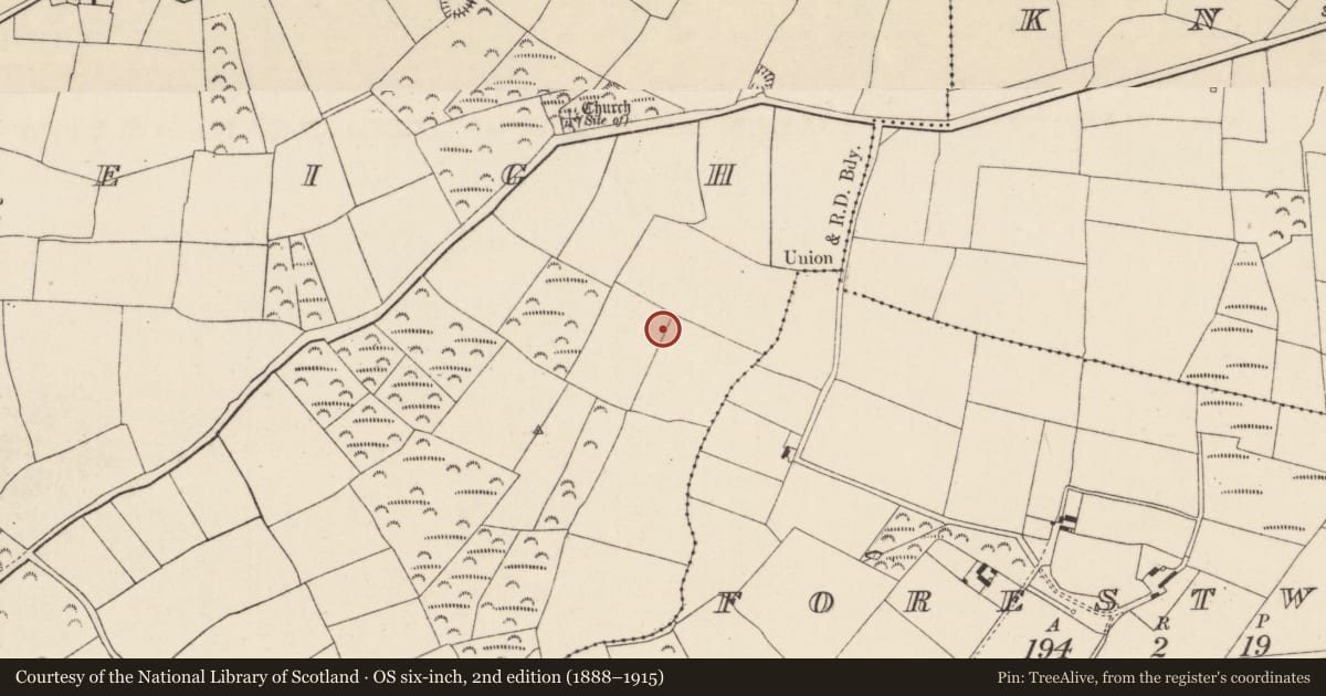 Ordnance Survey six-inch map, 2nd edition (1888–1915) covering the location of Enclosure, Clonleigh, County Wexford, with a pin at the register's coordinates