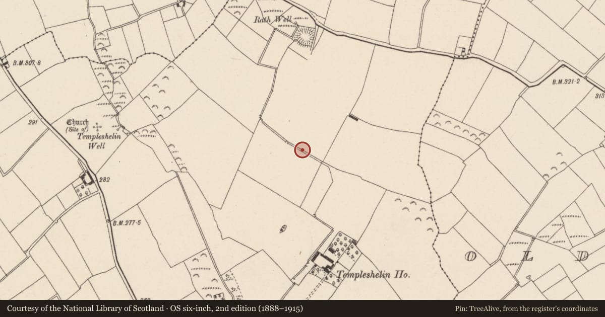 Ordnance Survey six-inch map, 2nd edition (1888–1915) covering the location of Ringfort - rath, Templeshelin, County Wexford, with a pin at the register's coordinates