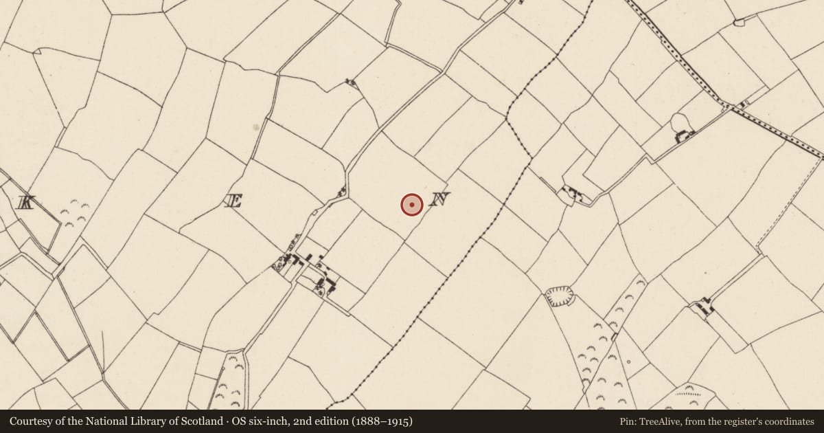 Ordnance Survey six-inch map, 2nd edition (1888–1915) covering the location of Ringfort - rath, Lacken, County Wexford, with a pin at the register's coordinates