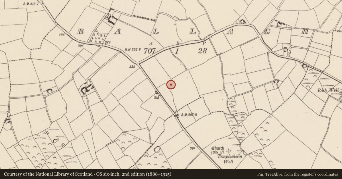 Ordnance Survey six-inch map, 2nd edition (1888–1915) covering the location of Ringfort - rath, Ballagh, County Wexford, with a pin at the register's coordinates